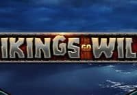 Vikings Go Wild Slot Review