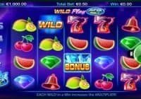 Wild Play Super Bet Slot Review