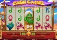 Cash Camel Slot Review