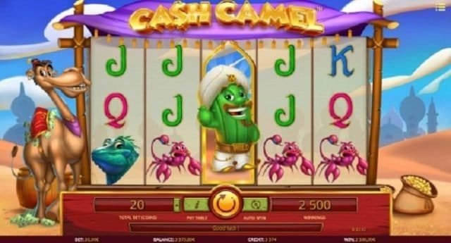 Cash Camel Slot Review