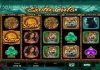 Exotic Cats Slot Review
