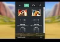 Microgaming Golden Stallion Ultraways Slot Review