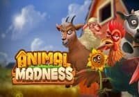 Play’n GO Animal Madness Slot Review