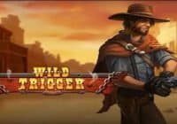 Play’n GO Wild Trigger Slot Review