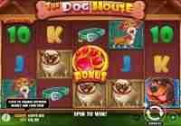 Pragmatic Play The Dog House – Dog or Alive Slot Review