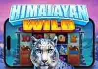 Himalayan Wild (Pragmatic Play) Slot Review