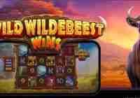 Wild Wildebeest Wins (Pragmatic Play) Slot Review