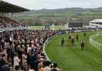 The Ultimate Guide to Cheltenham Festival 2025