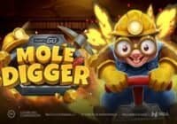 Mole Digger (Play’n GO) Online Slot Review